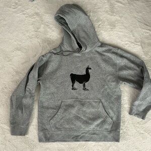 Men’s Small Nike hoodie- great used condition